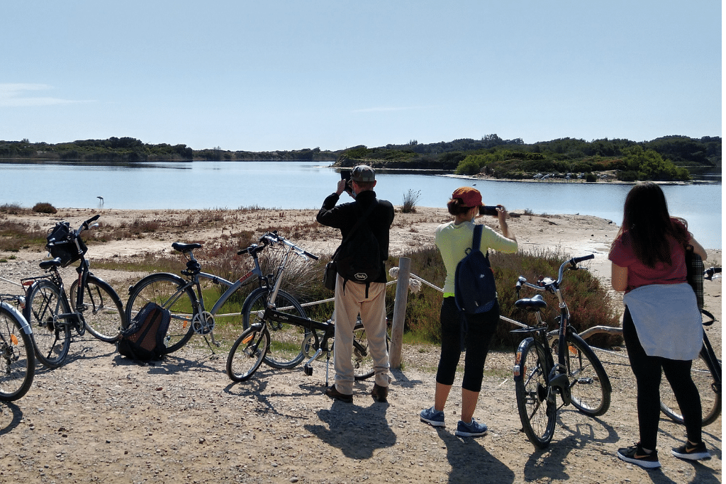 Albufera cycling route - valencia